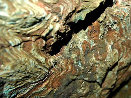 �x�~�O(sh��)��